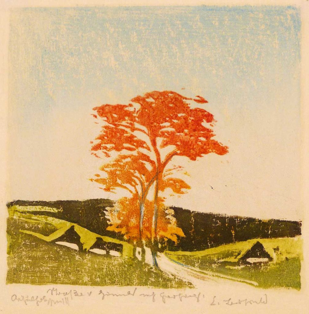 Erich Buchwald-Zinnwald - Straße von Zinnwald nach Geising